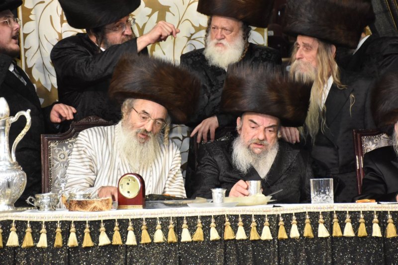 יהודה פרקוביץ