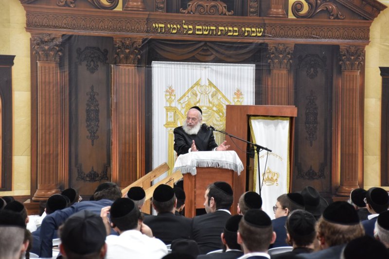 יהודה פרקוביץ