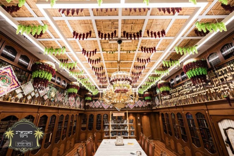 באדיבות המצלם