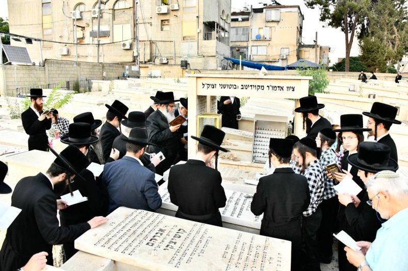 שוקי לרר