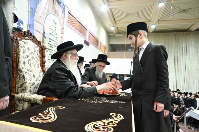 משה גולדשטיין