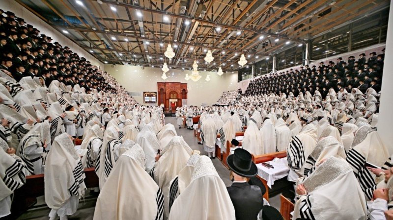 יהושע פרוכטר