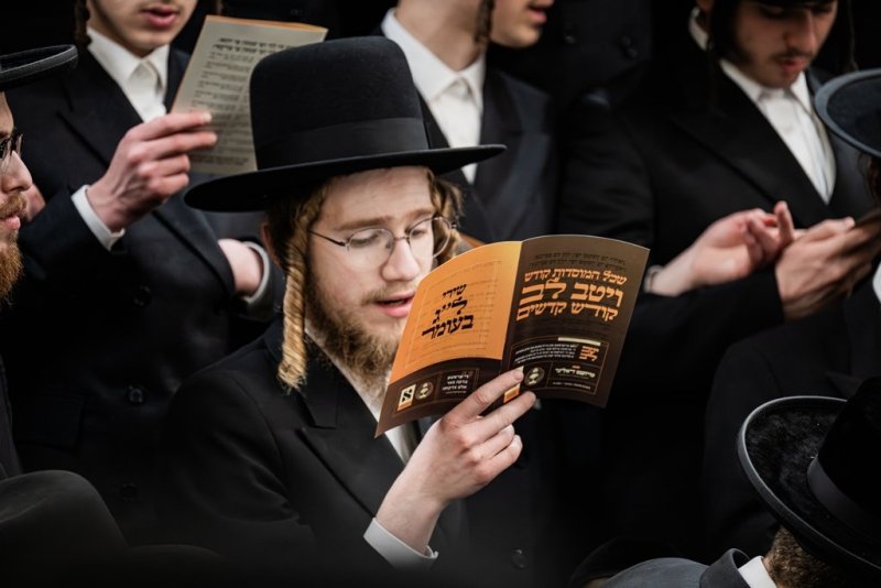 י. שטיין, שלום קליין ושלום שוורץ