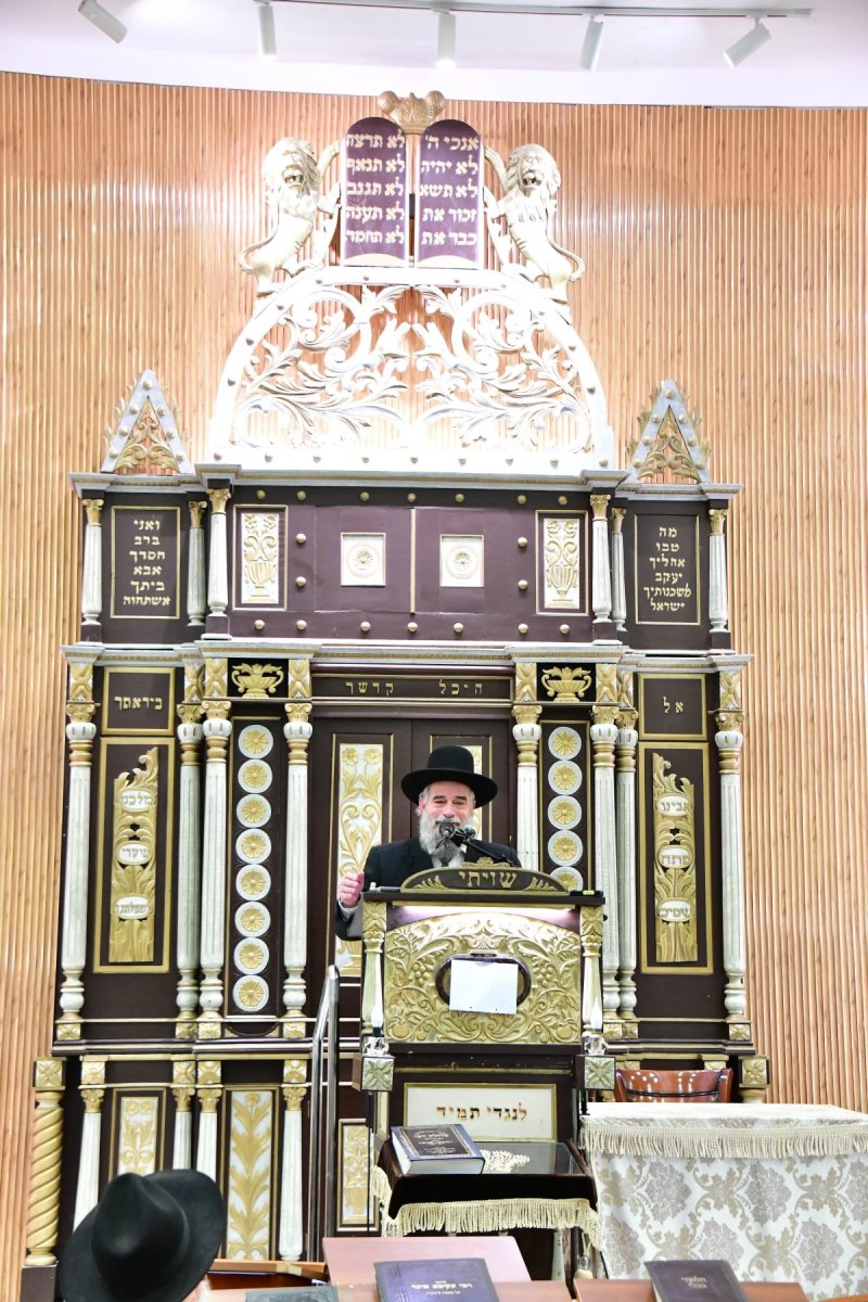 שוקי לרר