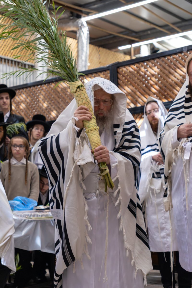 א.פ.ק