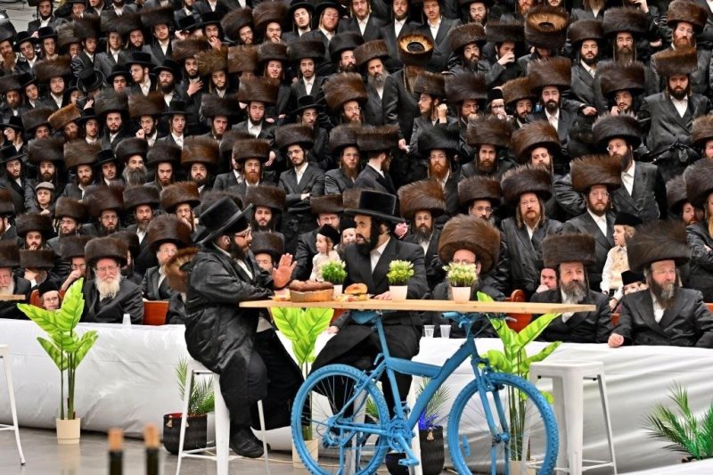 יהושע פרוכטר