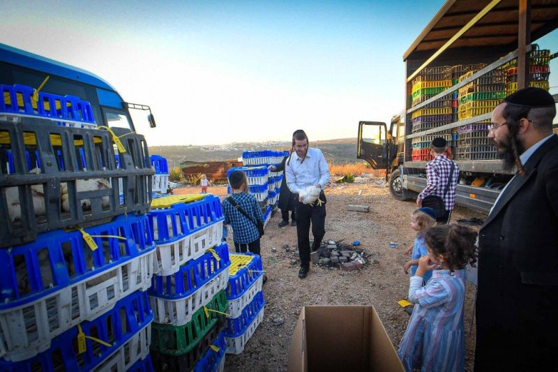 ארי קופרשטוק