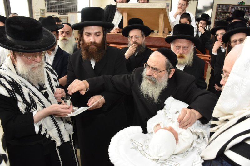 יהודה פרקוביץ