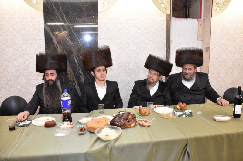 יהודה פרקוביץ