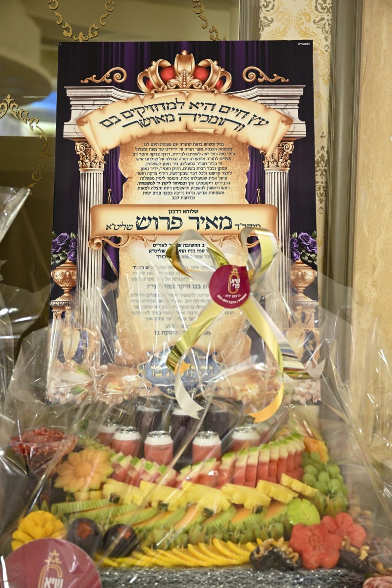 משה גולדשטיין דוד ארזני