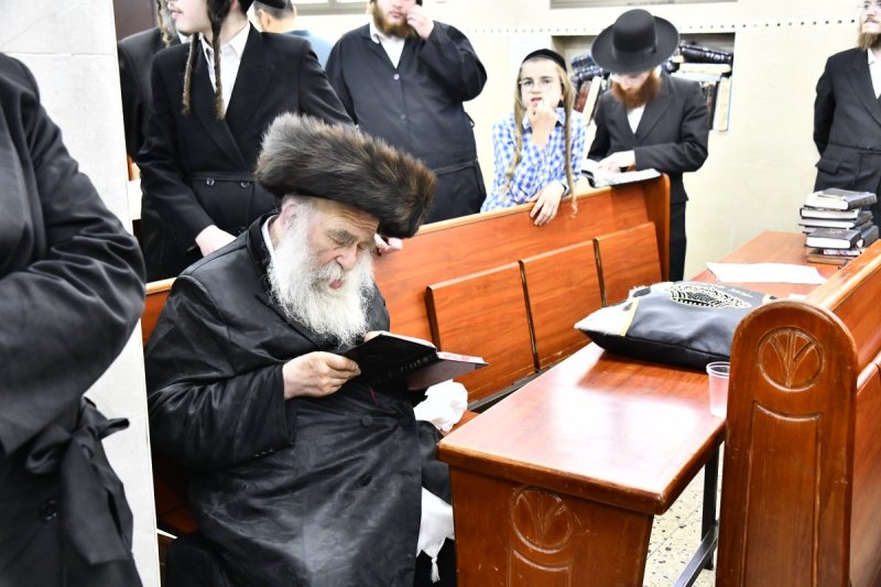 שוקי לרר