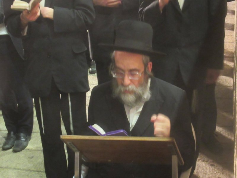 באדיבות המצלם
