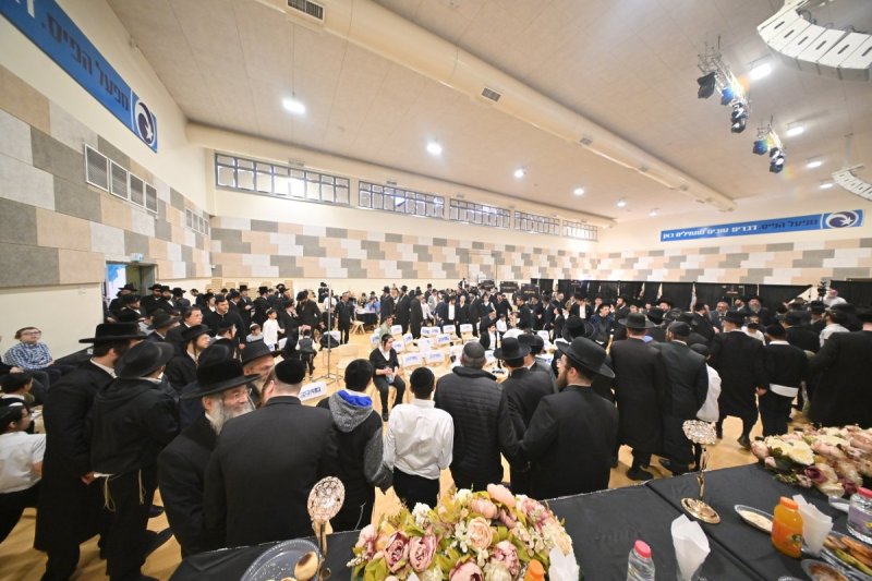 יהושע פרוכטר