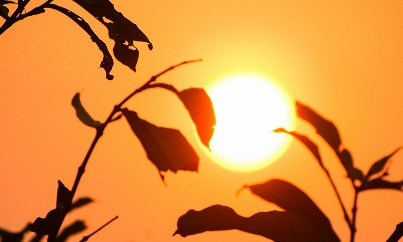 זינוק בטמפרטורות ואובך כבד: גל החום מגיע לשיאו ביומיים הקרובים