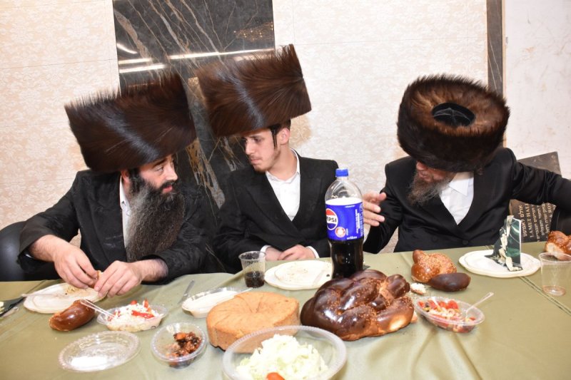 יהודה פרקוביץ