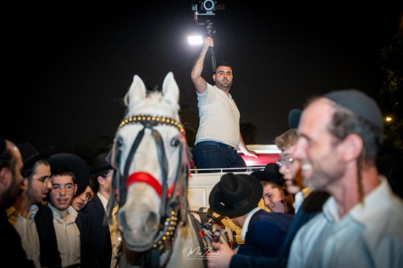 מאיר זלזניק