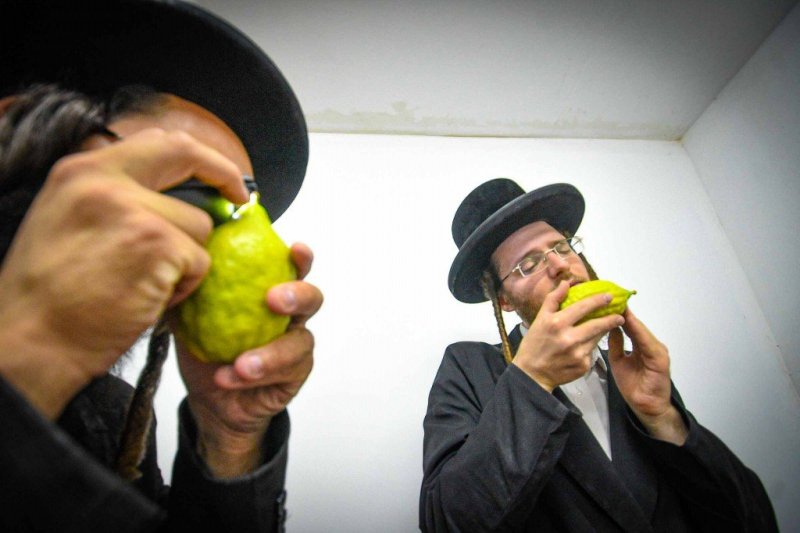 ארי קופרשטוק