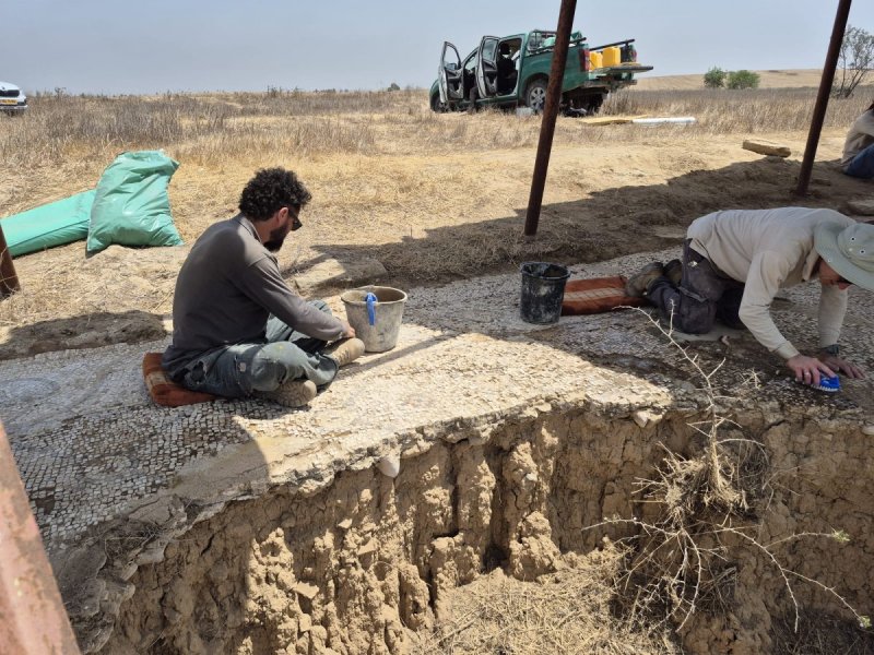 ליאור שוימר, רשות הטבע והגנים