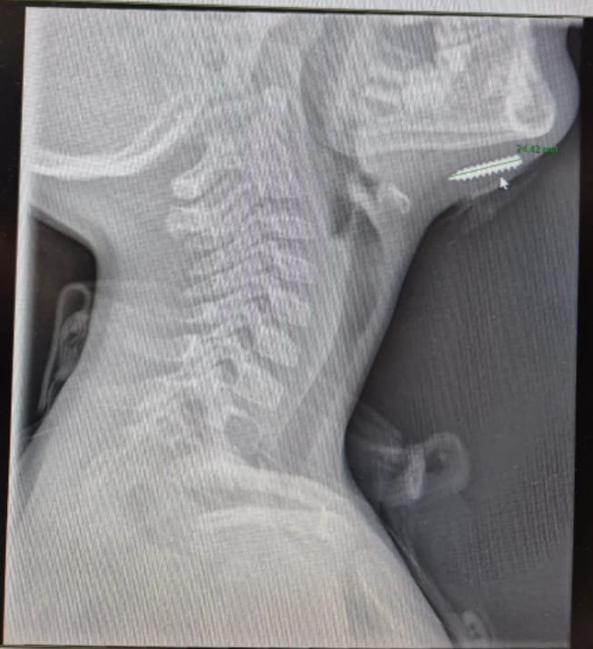 ד"ר בשיר נסראללה