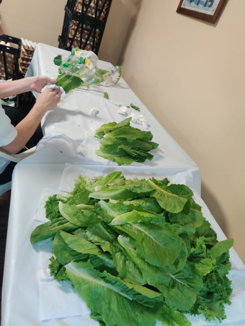 בית חב"ד פרו