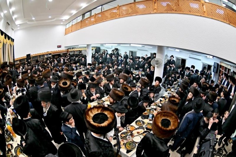 יהושע פרוכטר