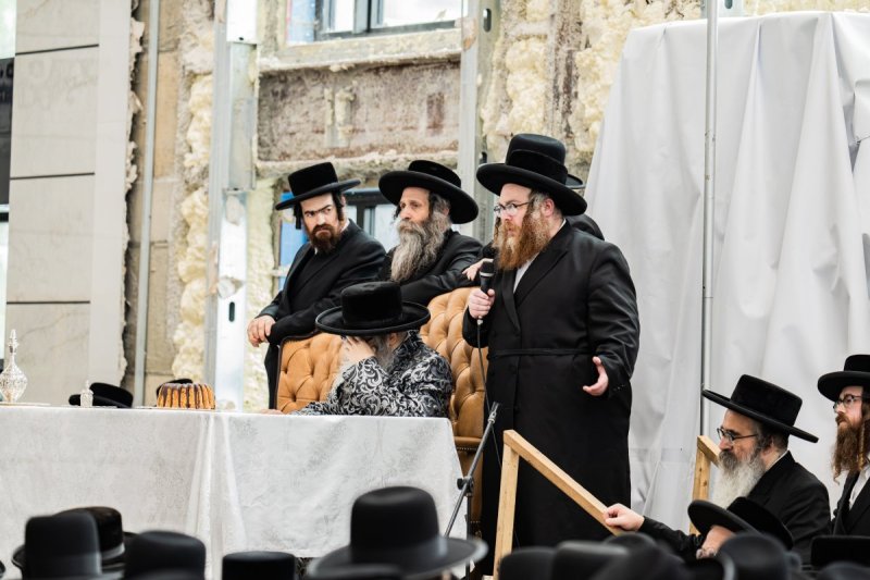 י. שטיין