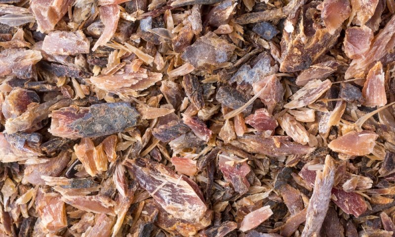 שווארמה טונה: ארוחה טעימה ומפנקת, ומהירה כמו לפתוח טונה משימורים ולצלות בתנור