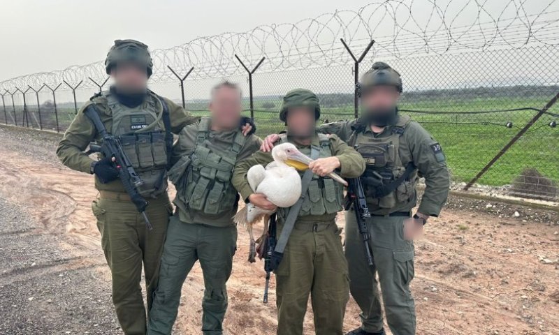 הלוחמים חילצו שקנאית שהסתבכה בגדר המערכת