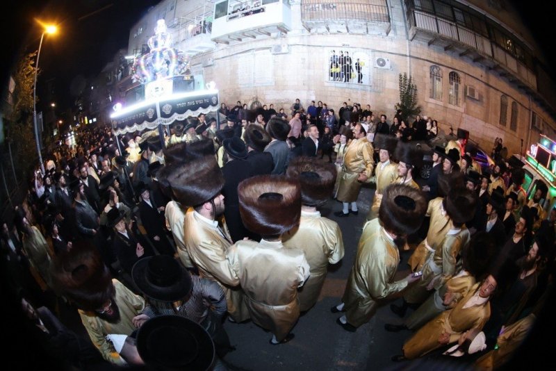 שלומי טריכטר