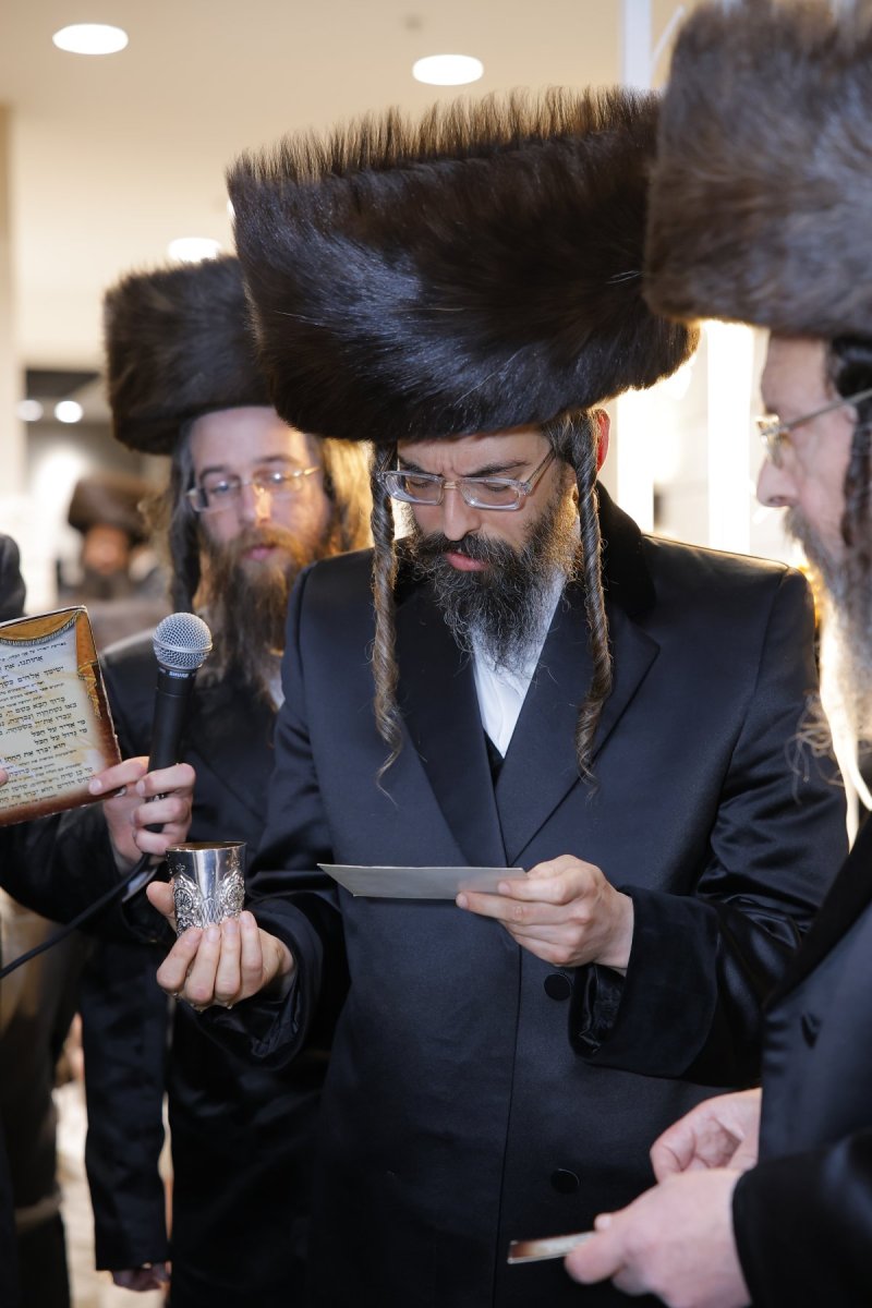 ב. מיכאלי וא.שטול