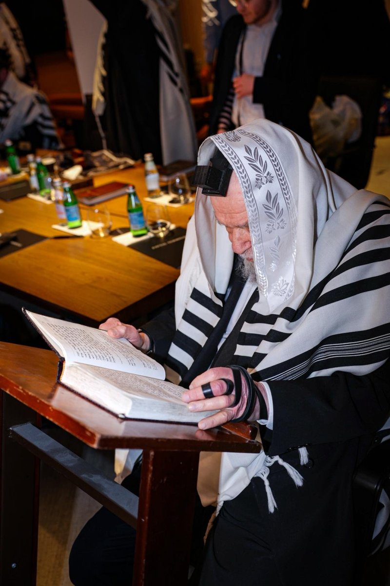 נתנאל לוונשטיין