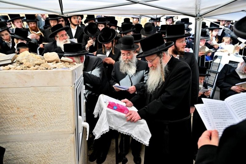 יהושע פרוכטר