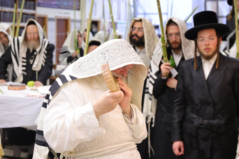 באדיבות המצלם
