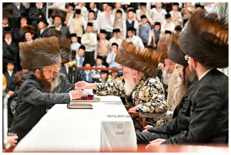 יהושע פרוכטר