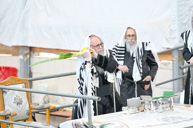 משה גולדשטיין