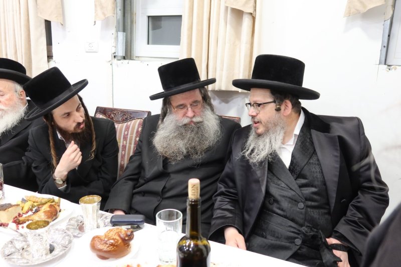 א. שטול
