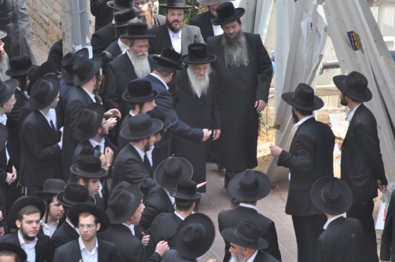 משה גולדשטיין