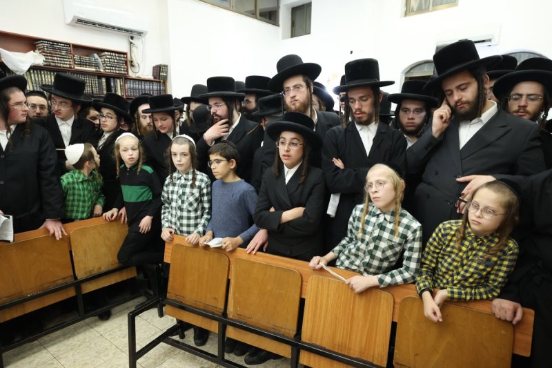 דוד ארזני וארי קופרשטוק