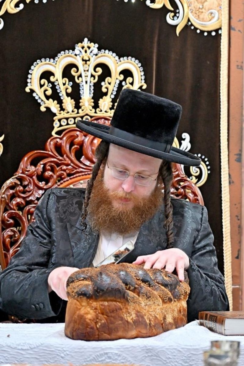 יהושע פרוכטר