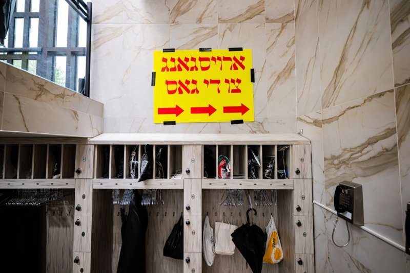 י. שטיין