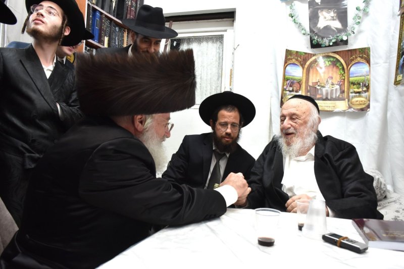 יהודה פרקוביץ