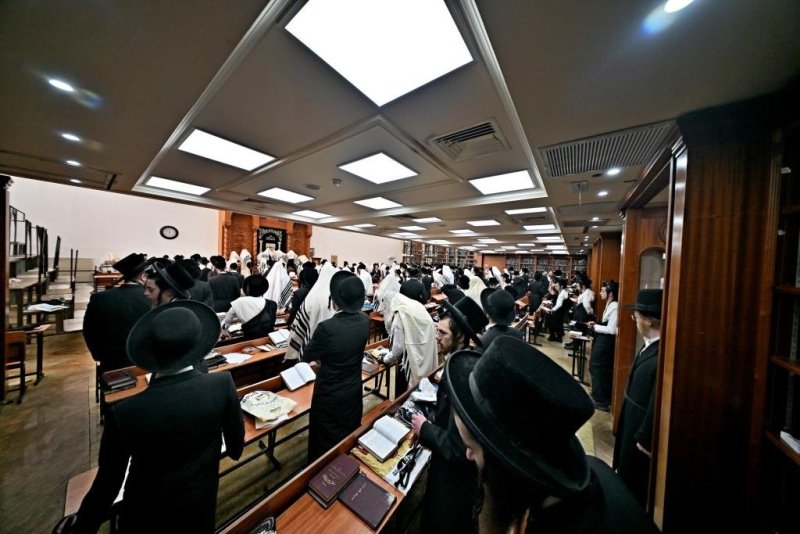 יהושע פרוכטר