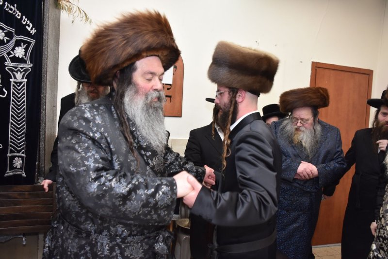 יהודה פרקוביץ