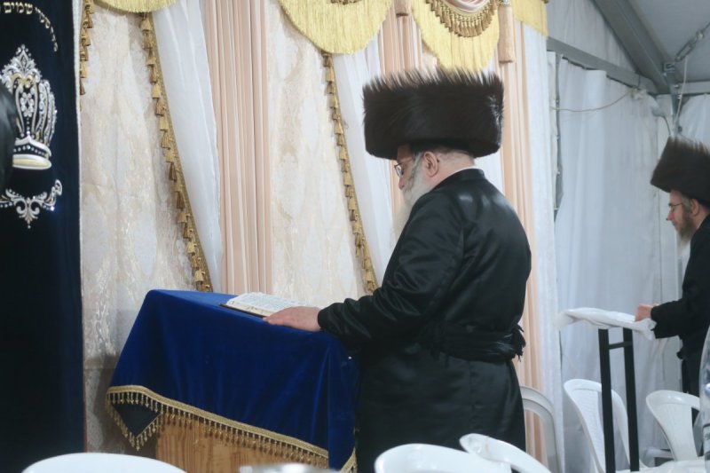 מ. אדלר