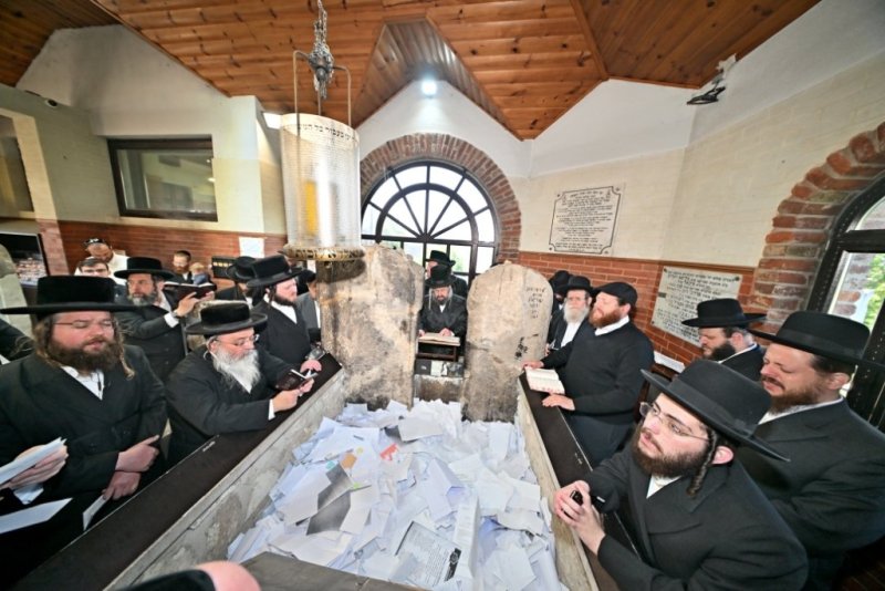 יהושע פרוכטר