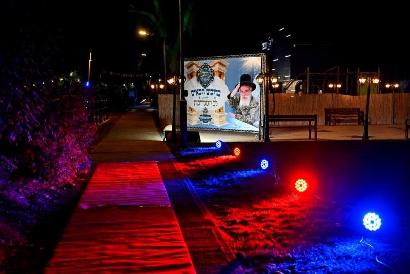 יהושע פרוכטר