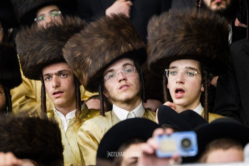 מענדי קוטלר