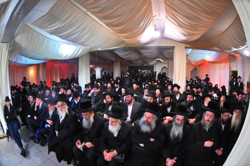 יהושע פרוכטר