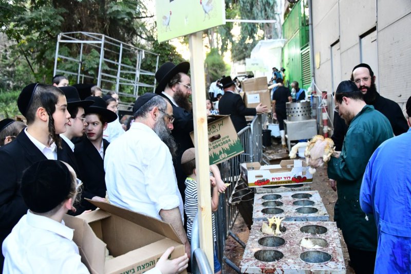 שוקי לרר