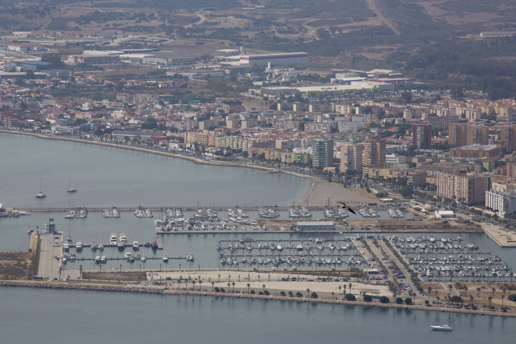 נתי שוחט פלאש90